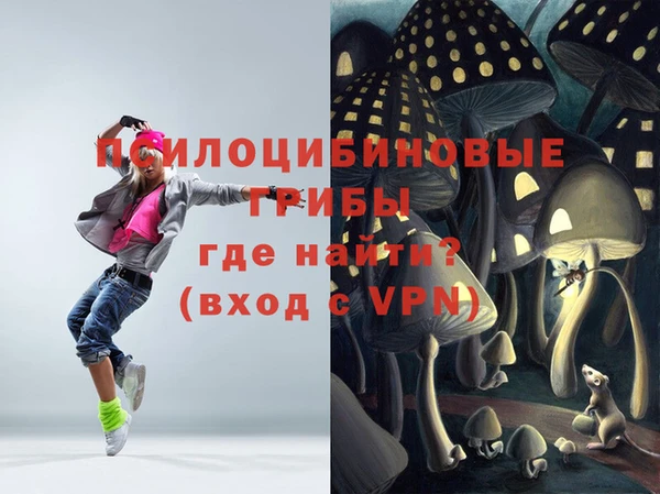 твердый Алексеевка